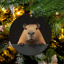 Capybara Peeking Over A Black Wall Mica Circle Ornament