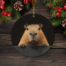Capybara Peeking Over A Black Wall Mica Circle Ornament