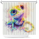Frog Colorfull Shower Curtain