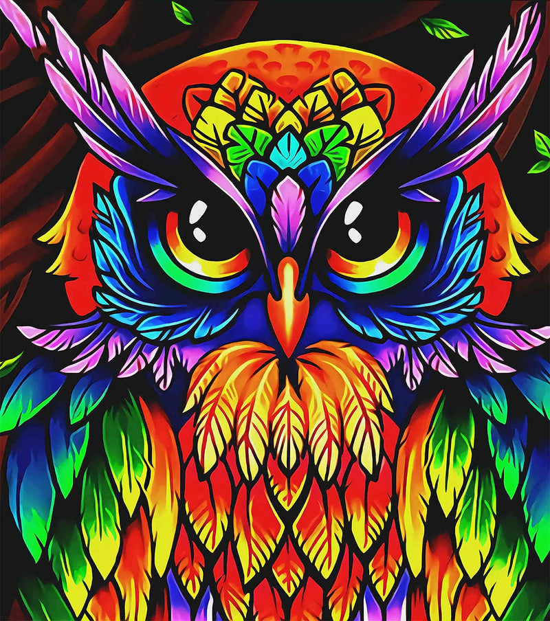 Colorful Owl Art Bedding Set Duvet Cover And 2 Pillowcases Nearkii